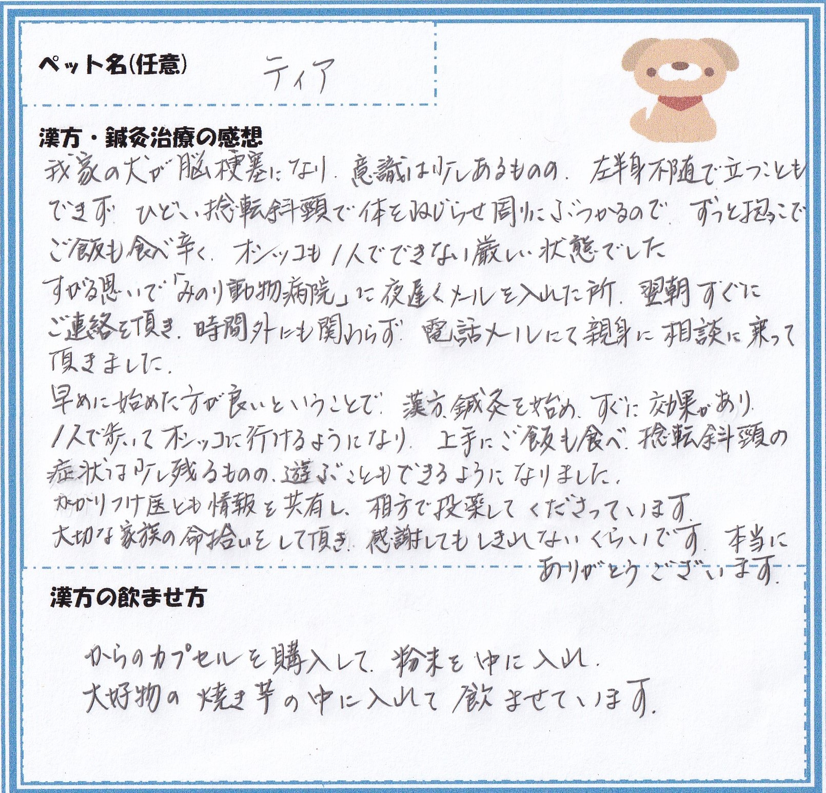 犬 ティアちゃん の脳梗塞 蛋白漏出性腸症 咳の漢方鍼灸治療 みのり動物病院