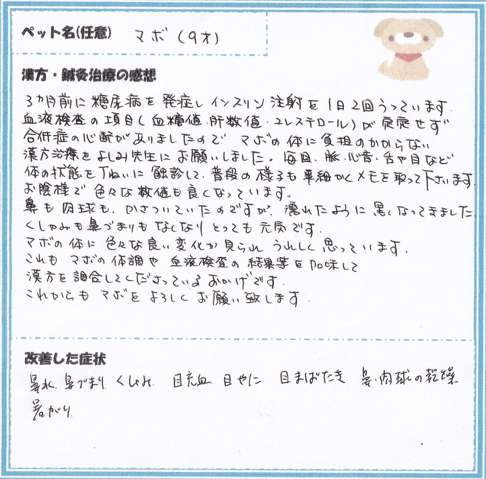 犬 マボちゃん の糖尿病 クッシング症候群疑い 壊死性脳炎の漢方治療 みのり動物病院