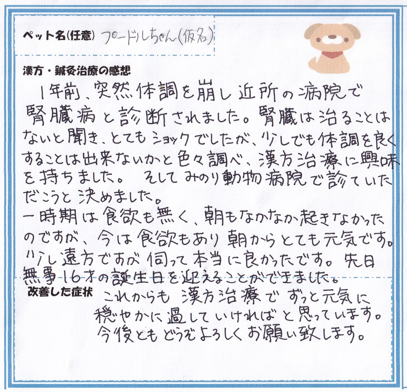 犬 プードルちゃん の腎不全の漢方内服治療 みのり動物病院